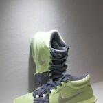 Nike Lebron Witness
