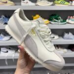 Puma Roma